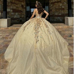 Sweetheart Neck Champagne Quinceanera Dresses 2024 Ball Gown Princess Dress Lace Appliques Sweet 15 Prom Party Dress