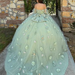 Sage Green Quince Dress Sweetheart Neck Girls Sweet 16 Dresses Sequin 3D Flowers Vestidos De 15 Anos Wear Pageant