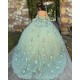 Sage Green Quince Dress Sweetheart Neck Girls Sweet 16 Dresses Sequin 3D Flowers Vestidos De 15 Anos Wear Pageant