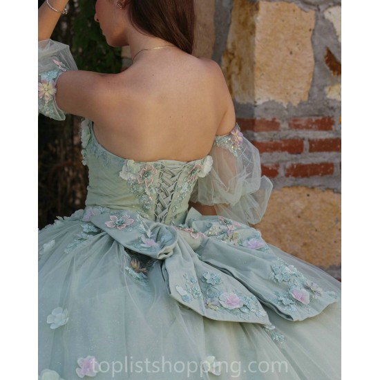 Sage Green Quince Dress Sweetheart Neck Girls Sweet 16 Dresses Sequin 3D Flowers Vestidos De 15 Anos Wear Pageant