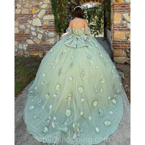 Sage Green Quince Dress Sweetheart Neck Girls Sweet 16 Dresses Sequin 3D Flowers Vestidos De 15 Anos Wear Pageant