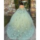 Sage Green Quince Dress Sweetheart Neck Girls Sweet 16 Dresses Sequin 3D Flowers Vestidos De 15 Anos Wear Pageant