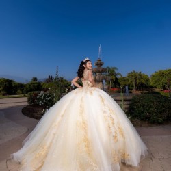 Sleeveless Champagne Quinceanera Dress Lace Appliques Sweetheart Neck Sweet 15 Gowns