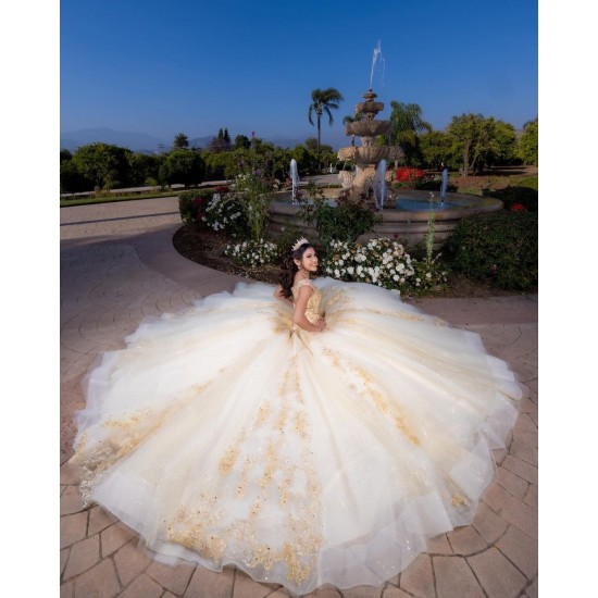 Sleeveless Champagne Quinceanera Dress Lace Appliques Sweetheart Neck Sweet 15 Gowns