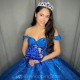 Blue Quinceanera Dress Sweetheart Applique Lace Beads Floor Length Ball Gown