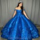 Blue Quinceanera Dress Sweetheart Applique Lace Beads Floor Length Ball Gown