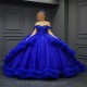 Glitter Blue Ball Gown Quinceanera Dresses 2024 Flower Beads Tull Tiered Girls Birthday Vestidos De 15 Años