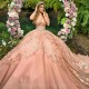 Puffy Blush Quinceanera Dress 2024 Ball Gown Appliques Lace Beading Skirt Sweet 16 Dress vestidos de 15