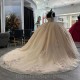 3D Butterfly Champagne Quinceanera Dresses Off The Shoulder Appliques Lace Ball Gown Corset Vestidos De 15 Años