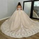 Shiny Champagne Quinceanera Dresses Ball Gown Sweetheart Tulle Appliques Sweet 16 Dress