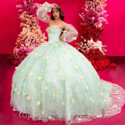 Light Green Ball Gown Quinceanera Dresses Yellow 3D Flower Applique Beading Princess Birthday Party Prom Gown vestidos de 15 año