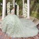 Light Green Gillter Princess Quinceanera Dresses 2024 Off Shoulder 3D Floral Applique Lace Vestidos 15 años