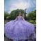 Purple Quinceanera Dress 2024 Sequin Beaded Flowers Appliques Mexico Ball Gown Sweet 16 Dress Vestidos De 15 Anos