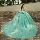 Mint Green 3D Flowers Off the Shoulder Quinceanera Dress With Ruffles Beads Tull Princess Ball Gown Sweet 16 Dress