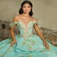 Mint Green 3D Flowers Off the Shoulder Quinceanera Dress With Ruffles Beads Tull Princess Ball Gown Sweet 16 Dress