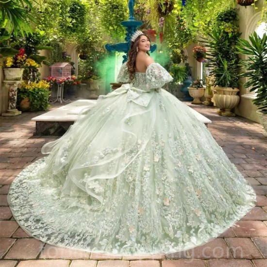 Mint Green Off the Shoulder Quinceanera Dresses Sweet 15 Gowns 3D Bead Tull Vestidos 15 De Quinceañera