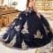 Sweetheart Navy Blue Ball Gown Quinceanera Dresses Sweet 16 Prom Gowns Lace Vestidos De 15 quinceanera