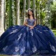 V-Neck Navy Blue Quinceanera Dresses Shiny V-Neck Ball Gown Party Applique Beading Tull 16 Princess Gowns