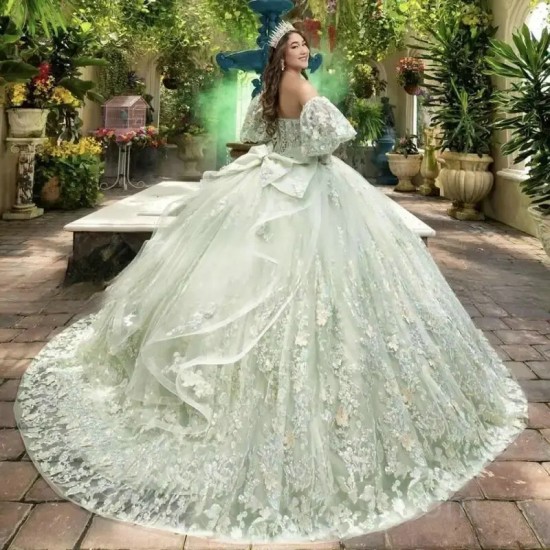 Sage Green Quinceanera Evening Dress Open Back Flowers Beaded 2024 Ball Gown Floor Length Sweep Train Bow Prom Dress