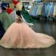 Long Sleeves Pink Glitter Ball Gown Quinceanera Dresses 3D Butterfly Appliques Sweet 15 Princess Birthday Party Dress