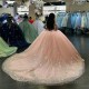 Long Sleeves Pink Glitter Ball Gown Quinceanera Dresses 3D Butterfly Appliques Sweet 15 Princess Birthday Party Dress