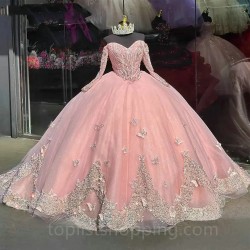 Long Sleeves Pink Glitter Ball Gown Quinceanera Dresses 3D Butterfly Appliques Sweet 15 Princess Birthday Party Dress