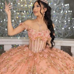 Off The Shoulder Pink 3D Flowers Ball Gown Quinceanera Dresses Ruffles Corset Vestidos De 15 Dress