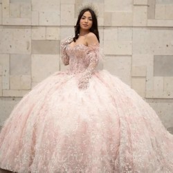 Long Sleeve Pink Off Shoulder Quinceanera Dresses Applique Feather Vestidos De 15 Anos