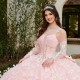 Spaghetti Strap Pink Quinceanera Dress Ball Gown 3D Butterfly Lace-up With Bow