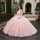 Spaghetti Strap Pink Quinceanera Dress Ball Gown 3D Butterfly Lace-up With Bow