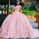 Ball Gown Pink Quinceanera Dresses 3D Flowers Vestidos 15th Birthday Party Princess Sweet 16 Dress