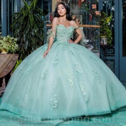 Sage Green Quinceanera Dresses Birthday Party Dresses Appliques Sweetheart Custom Made Vestido De 15 Anos