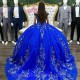 3D Flowers Royal Blue Quinceanera Dresses 2024 Ball Gown Princess Appliques Sweet 16 Dress