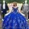 3D Flowers Royal Blue Quinceanera Dresses 2024 Ball Gown Princess Appliques Sweet 16 Dress