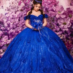 Royal Blue Quinceanera Dresses Ball Gown Floral Applique Crystal With Cape Sweet 16 Dresses Party Gowns