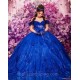 Royal Blue Quinceanera Dresses Ball Gown Floral Applique Crystal With Cape Sweet 16 Dresses Party Gowns