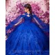 Royal Blue Quinceanera Dresses Ball Gown Floral Applique Crystal With Cape Sweet 16 Dresses Party Gowns