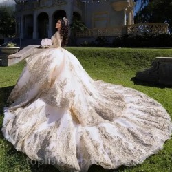 Ruffles Ball Gown Quinceanera Dresses Long Sleeve Sequined Appliques Lace Corset Vestidos De 15 Años