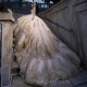 Ruffles Ball Gown Quinceanera Dresses Long Sleeve Sequined Appliques Lace Corset Vestidos De 15 Años