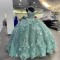 Sage Green Princess Ball Gown Quinceanera Dresses Spaghetti Strap 3DFlowers Appliques Sweet 16 Dress