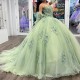 Sage Green Quinceanera Dresses For Sweet 16 Girls Feather Sweetheart Princess Ball Gowns Tull 15 Vestidos