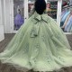 Sage Green Quinceanera Dresses For Sweet 16 Girls Feather Sweetheart Princess Ball Gowns Tull 15 Vestidos