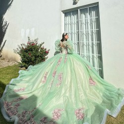 Sage Green Quinceanera Dresses Jacket V Neck 2024 Ball Gown Princess Dress Lace Appliques Vestidos De 15 Anos