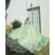 Sage Green Quinceanera Dresses Jacket V Neck 2024 Ball Gown Princess Dress Lace Appliques Vestidos De 15 Anos