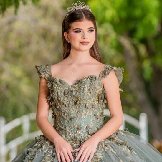 Sage Green Sweetheart Quinceanera Dress Princess Ball Gown Sweet 16 Party Vestidos 15 De XV An