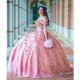 Shiny Blush Pink Quinceanera Dress Ball Gown 3D Floral Lace Applique Beaded Sweet 16 Vestidos XV Años