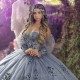 Silver Gray Sweetheart Off The Shoulder Long Sleeved Applique Quinceanera Dresses Ball Gown Princess Dress