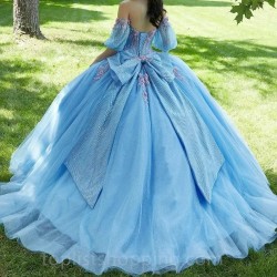 Sweetheart Sky Blue Ball Gown Prom Dress Quinceanera Dress Applique Beaded 3D Flowers Formal Dresses