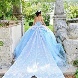 Sky Blue With Big Bow Sky Blue Quinceanera Dresses Ball Gown Sleeveless 3D Butterfly Tull Vestidos De 15 Años