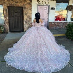 Sweetheart Pink Quinceanera Dresses Tulle Beading Feather Long Sleeve Party Dresses Appliques Lace Up Prom Gown